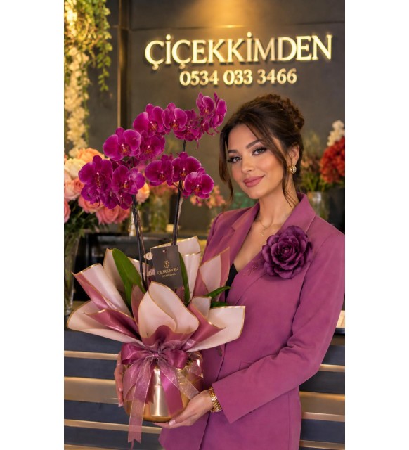 PEMBE ORKİDE