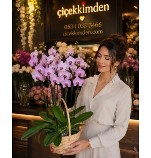 AÇIK PEMBE ÇOKLU ORKİDE SEPETİ
