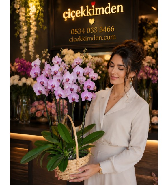 AÇIK PEMBE ÇOKLU ORKİDE SEPETİ