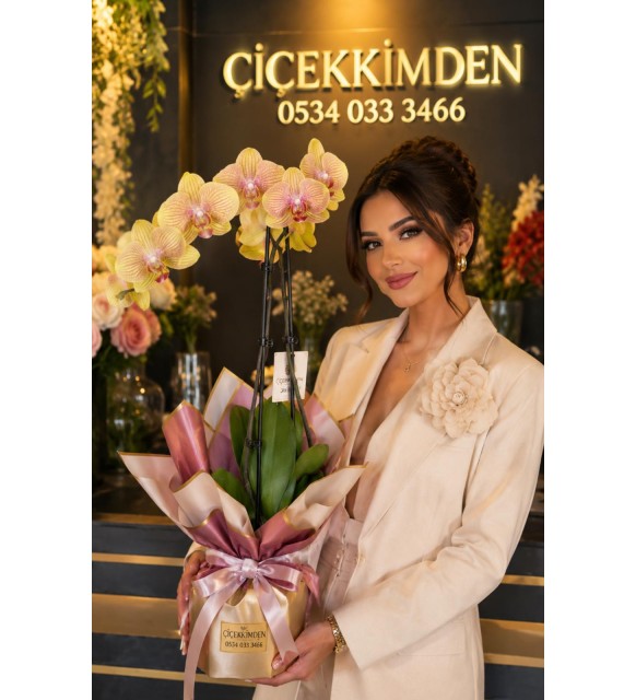 SARI ORKİDE