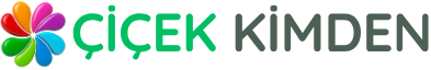https://www.instagram.com/cicekkimden/